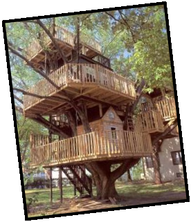 How about a fun tree houses 