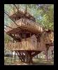 remodeling, custom construction, tree house
